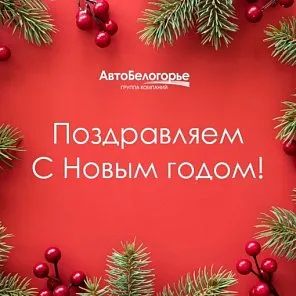 С наступающим Новым 2025 годом 