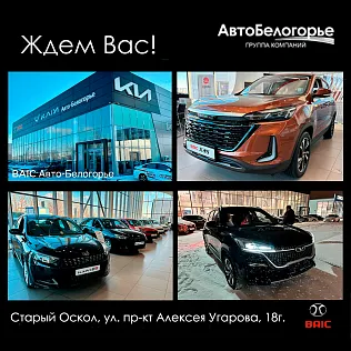 Сфера деятельности ДЦ KAIYI/BAIC Авто-Белогорье - сервисное и гарантийное обслуживание г. Старый Оскол
